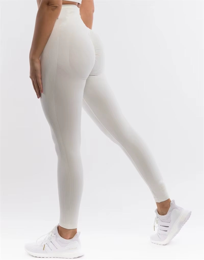 Seamless Workout Set
