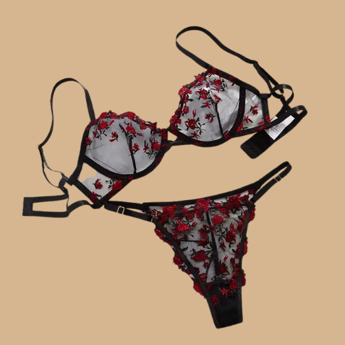 Embroidery Transparent Lingerie